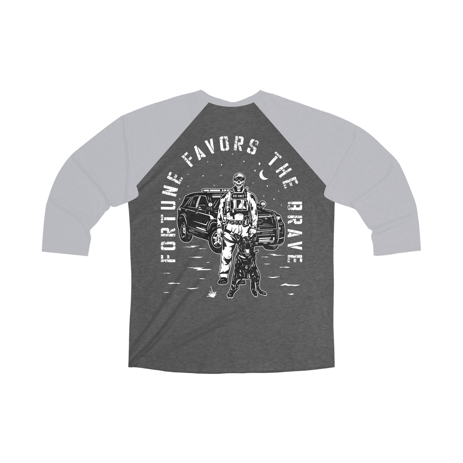 Fortune Favors the Brave Tri-Blend 3\4 Raglan Tee
